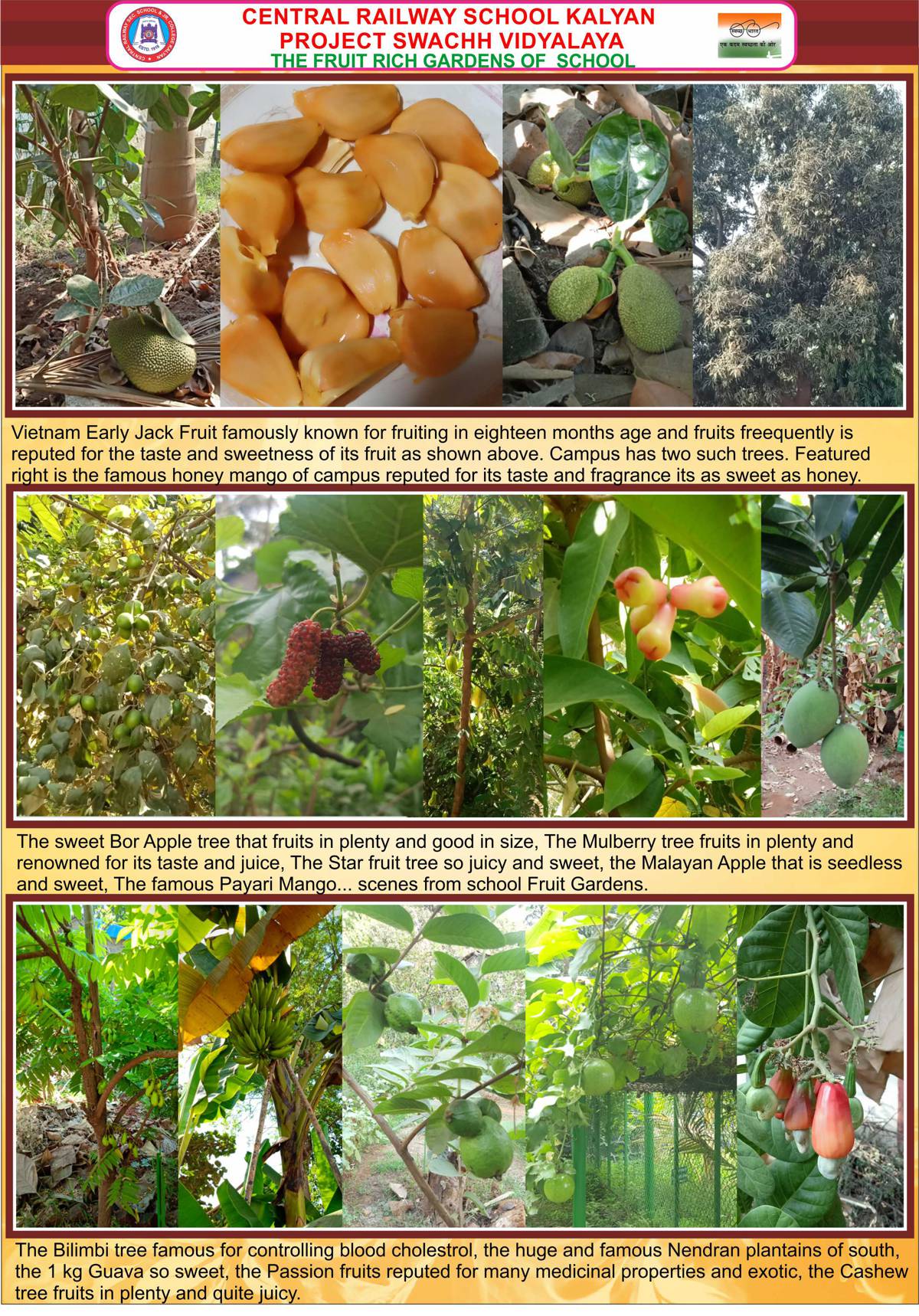 biodiversities